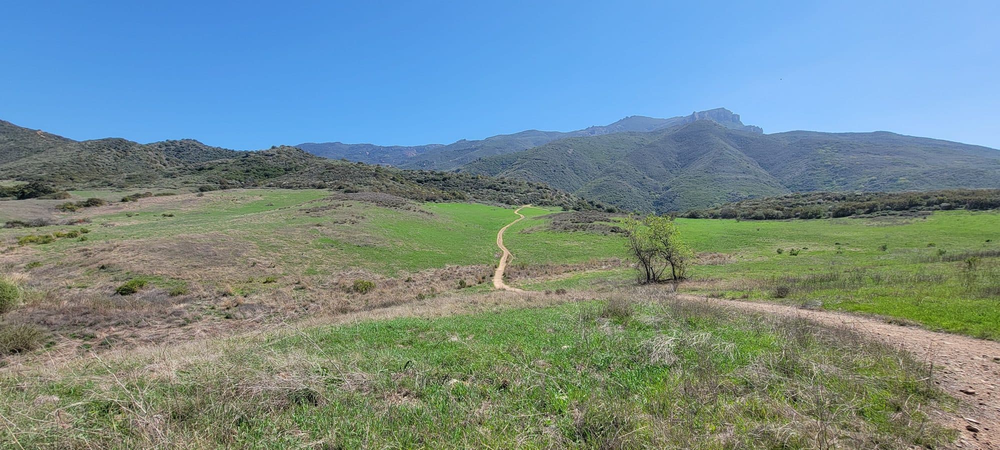 A trail through green grassland at Rancho Sierra Vista in Newbury Park, below Boney Mountain
